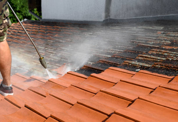 Best Deck Cleaning Services  in Sheldon, IL