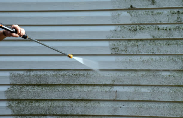 Best Deck Cleaning Services  in Sheldon, IL