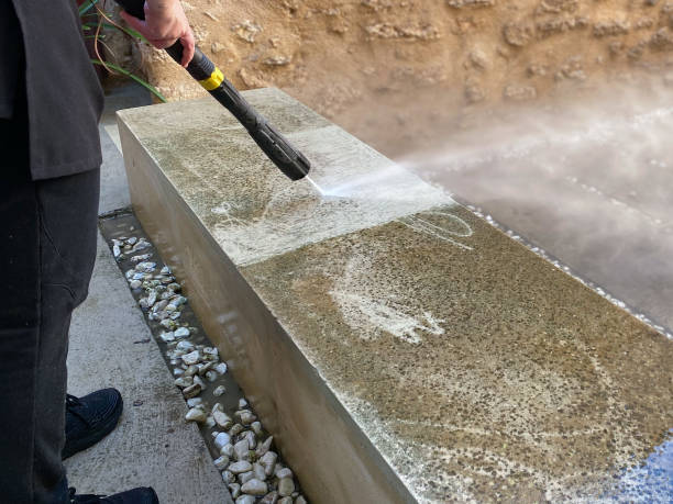 Best House Pressure Washing  in Sheldon, IL