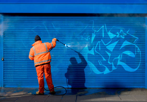 Best Best Pressure Washing Companies  in Sheldon, IL