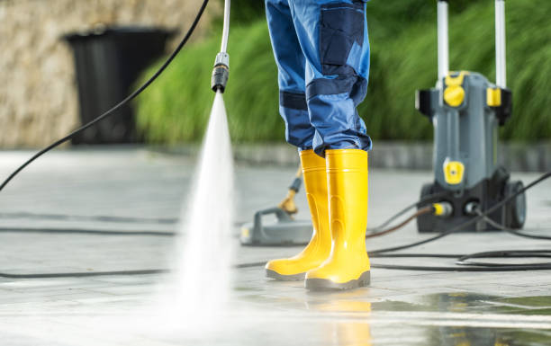 Best Residential Pressure Washing Services  in Sheldon, IL