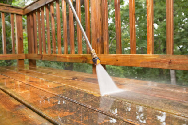Best Roof Power Washing Services  in Sheldon, IL