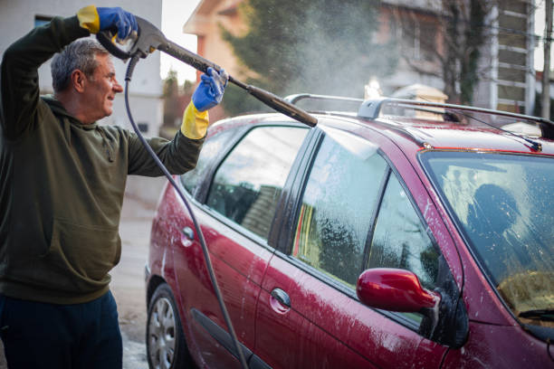 Best Affordable Pressure Washing  in Sheldon, IL