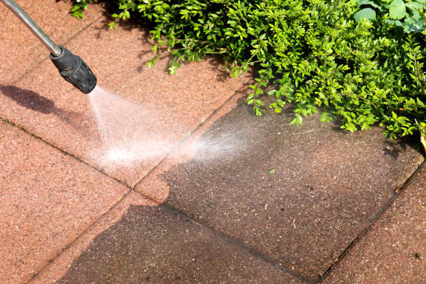 Professional Pressure Washing in Sheldon, IL